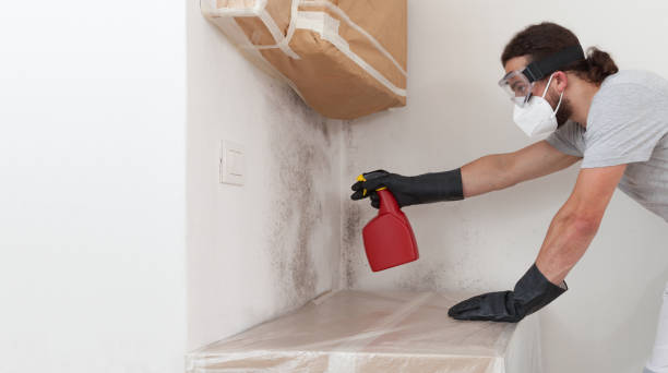 Professional Attic Mold Removal technician working in Deal, NJ